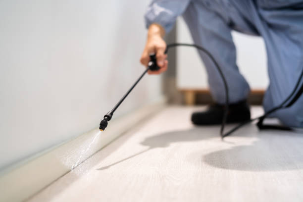 Licensed Termite Control service in De Graff, OH - Nex Pest Control