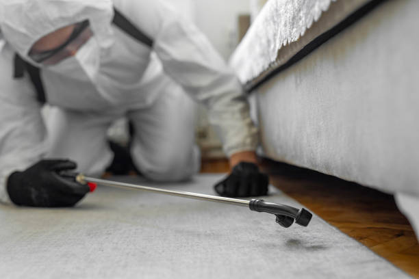 Professional Termite Control technician working in De Graff, OH