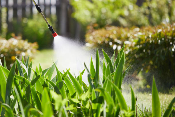 24/7 Emergency Termite Control experts in De Graff, OH