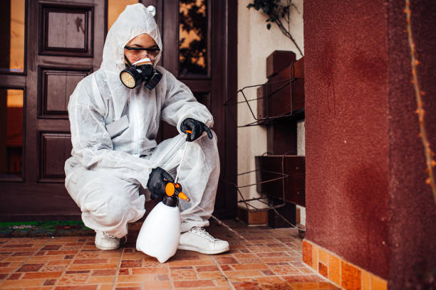 Reliable Termite Control contractor in De Graff, OH by Nex Pest Control