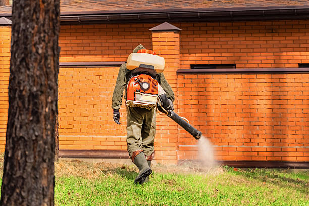 Top rated local Termite Control specialists in De Graff, OH